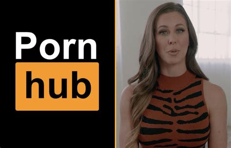 pornhub log in|Age Verification in the US